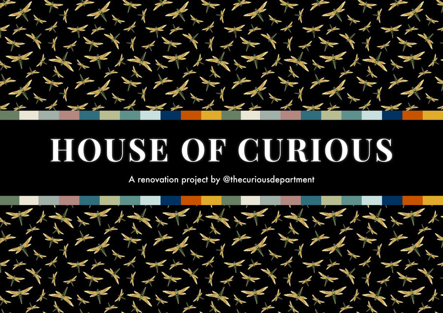 House of Curious: First House Tour