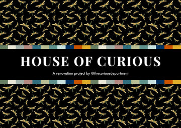 House of Curious: House Tour #2