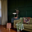 Load image into Gallery viewer, TIANA ANTIQUE: velvet cushion