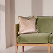 Load image into Gallery viewer, WILD WHISPERS SAVANNAH: fringed velvet cushion