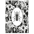 Load image into Gallery viewer, ELEMENTAL BEETLE print : black/ white