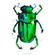 Load image into Gallery viewer, BEETLE IN THE RAIN: art print
