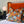 Load image into Gallery viewer, CORAL ODYSSEY ORANGE: velvet cushion
