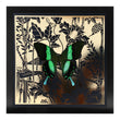 Load image into Gallery viewer, LAGOON Green Swallowtail: gold/ black
