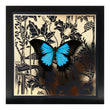 Load image into Gallery viewer, LAGOON Ulysses: gold/ black