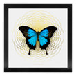 Load image into Gallery viewer, SPIRO Ulysses: gold/ white