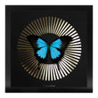 Load image into Gallery viewer, DECO BLAZE Ulysses: gold/ black