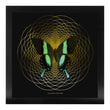 Load image into Gallery viewer, SPIRO Green Swallowtail: gold/ black