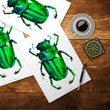 Load image into Gallery viewer, BEETLE IN THE RAIN: art print