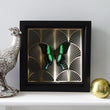 Load image into Gallery viewer, DECO FAN Green Swallowtail: gold/ black