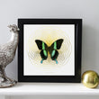 Load image into Gallery viewer, SPIRO Green Swallowtail: gold/ white