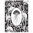 Load image into Gallery viewer, ELEMENTAL JELLYFISH print : black/ white