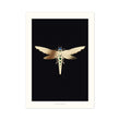 Load image into Gallery viewer, ZELLANDINE'S DRAGONFLY: gold print