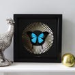Load image into Gallery viewer, DECO BLAZE Ulysses: gold/ black