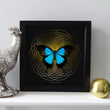 Load image into Gallery viewer, SPIRO Ulysses: gold/ black