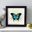 Load image into Gallery viewer, SPIRO Ulysses: gold/ white