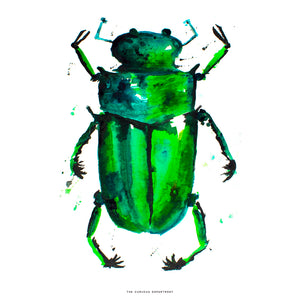 BEETLE IN THE RAIN: original watercolour painting