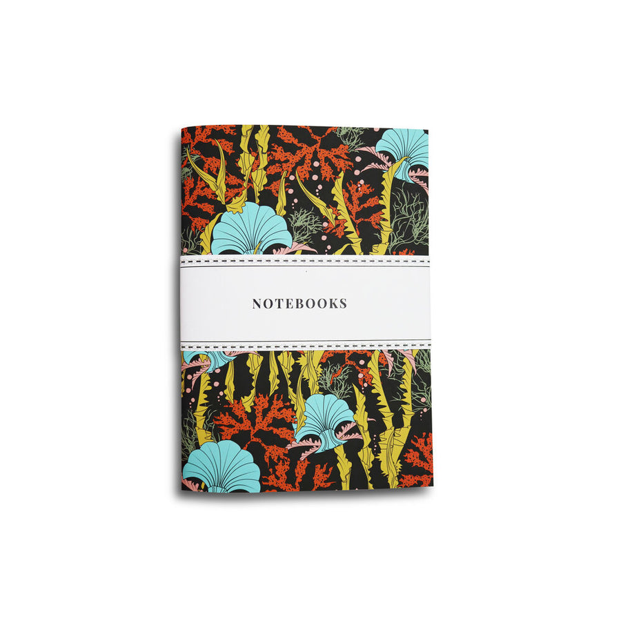 CORAL ODYSSEY Notebooks: set of 3