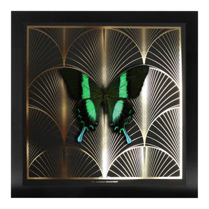 DECO FAN Green Swallowtail: gold/ black