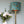 Load image into Gallery viewer, DRAGONFLY SWARM SAGE: Velvet Lampshade
