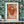 Load image into Gallery viewer, ELEMENTAL JELLYFISH print: orange/ gold
