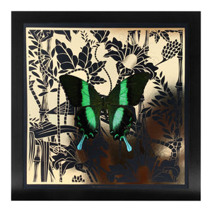LAGOON Green Swallowtail: gold/ black