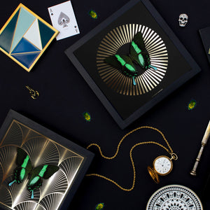 DECO FAN Green Swallowtail: gold/ black